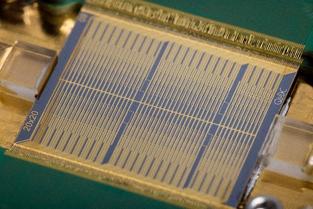 A blue and gold quantum processor