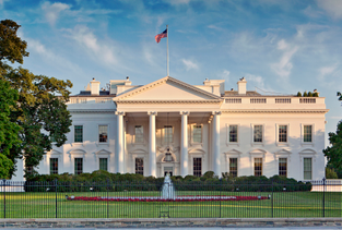 The White House in sunshine