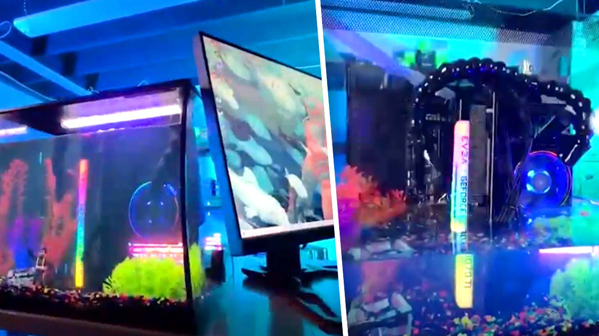 Genius Builds Working PC In A Fish Tank