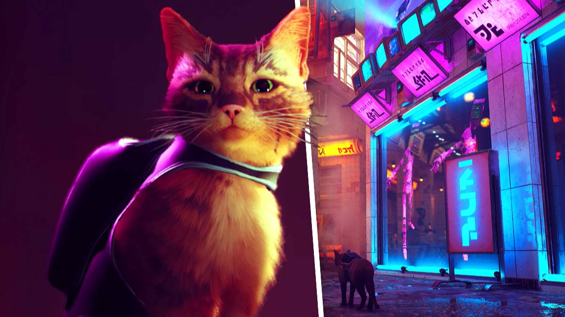 Stray: PlayStation Plus Subscribers Can Download Cat Game For Free