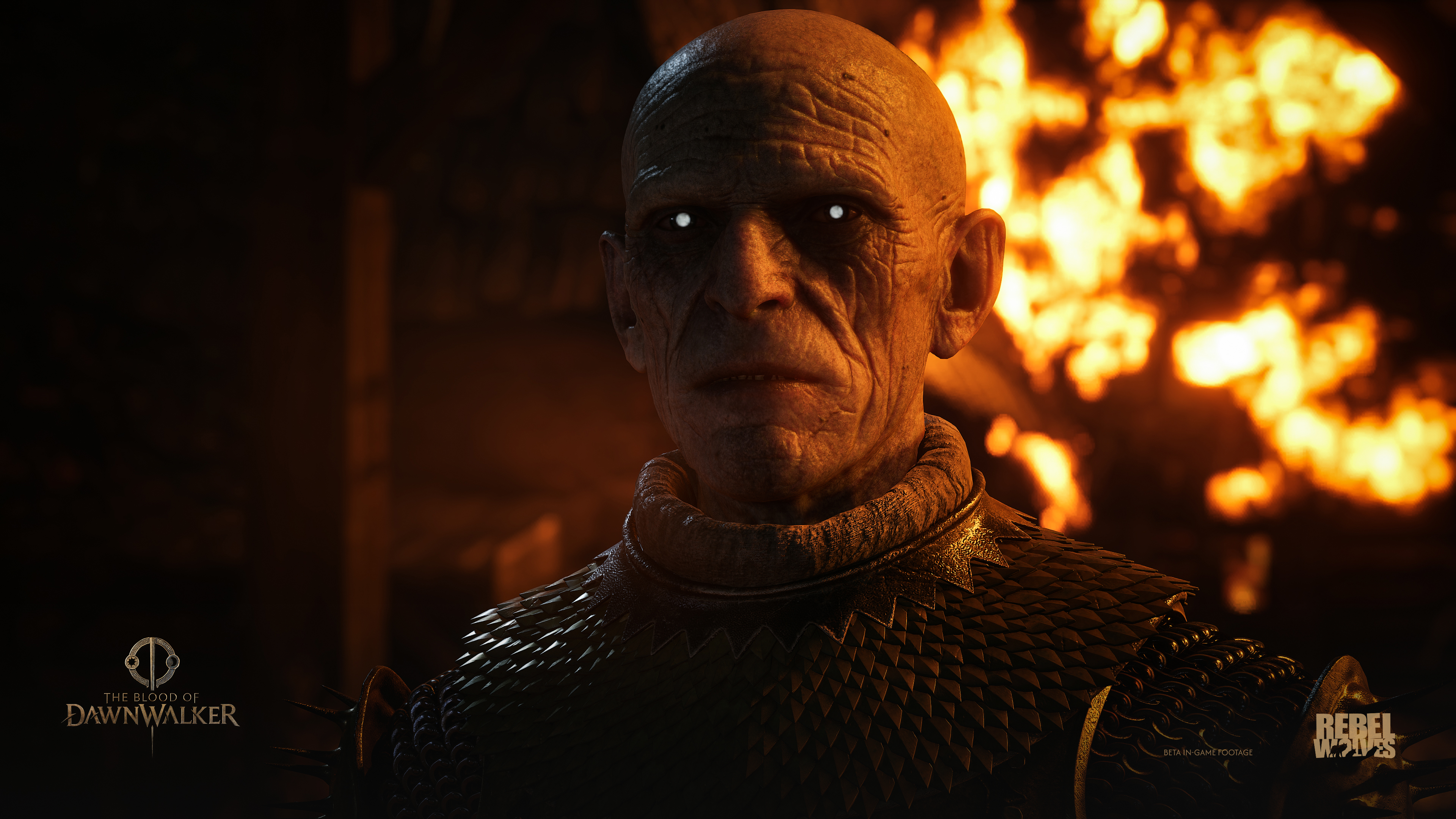 The Blood of Dawnwalker, Credit: Bandai Namco