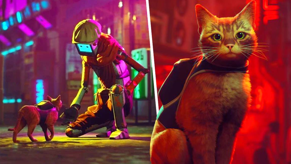 Cat Game 'Stray' Introduces Three Real Life Feline Stars