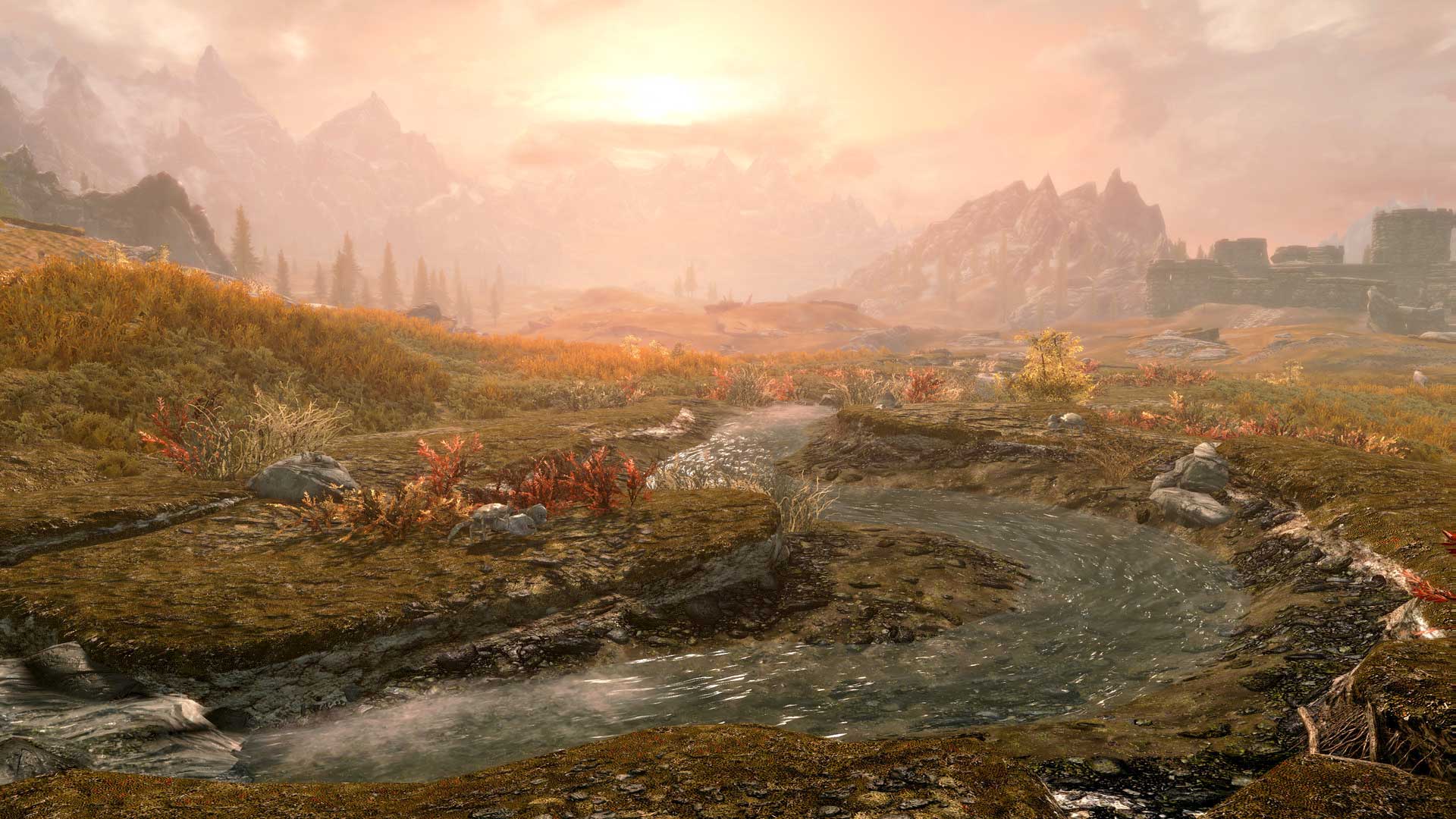 Screenshot of The Elder Scrolls V: Special Edition, Bethesda Softworks