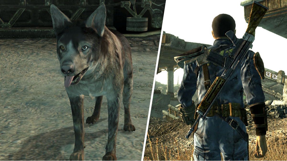 Fallout 3 player follows companions home after dismissing them, has a wild adventure