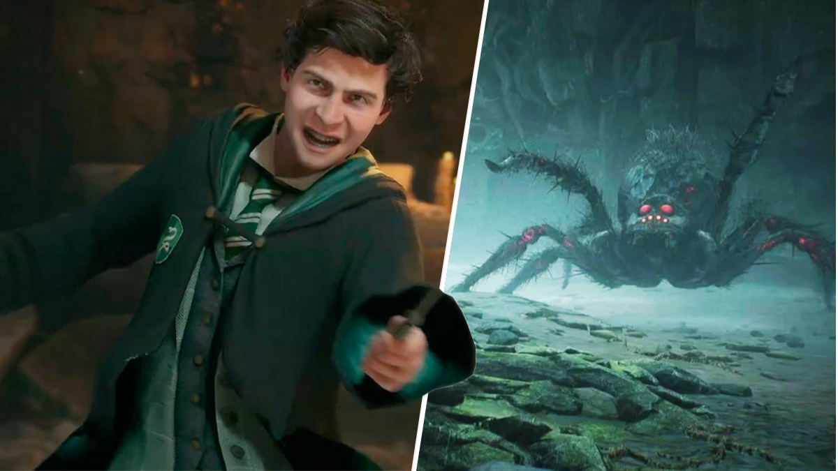 Harry Potter game Hogwarts Legacy now has a 'no spiders' setting - Polygon