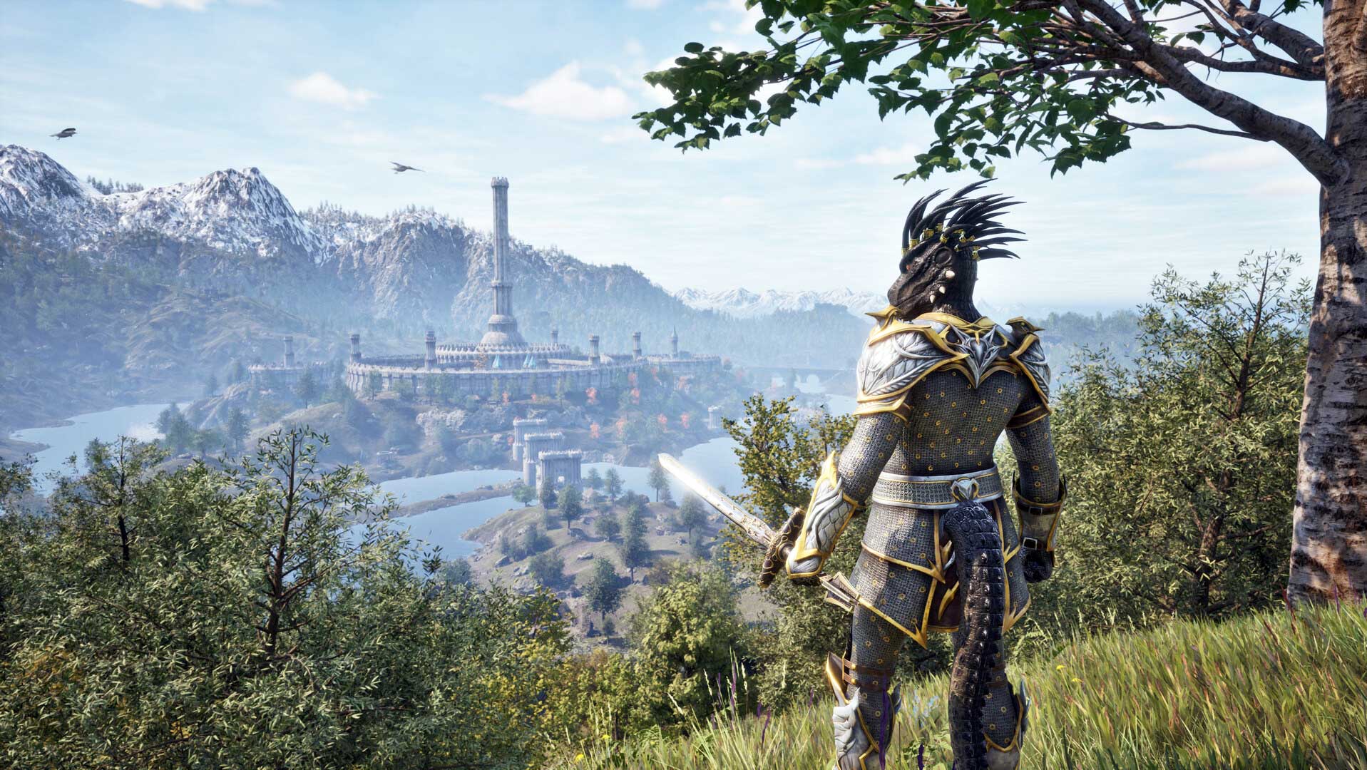 The Elder Scrolls IV: Oblivion Remastered, Bethesda Softworks