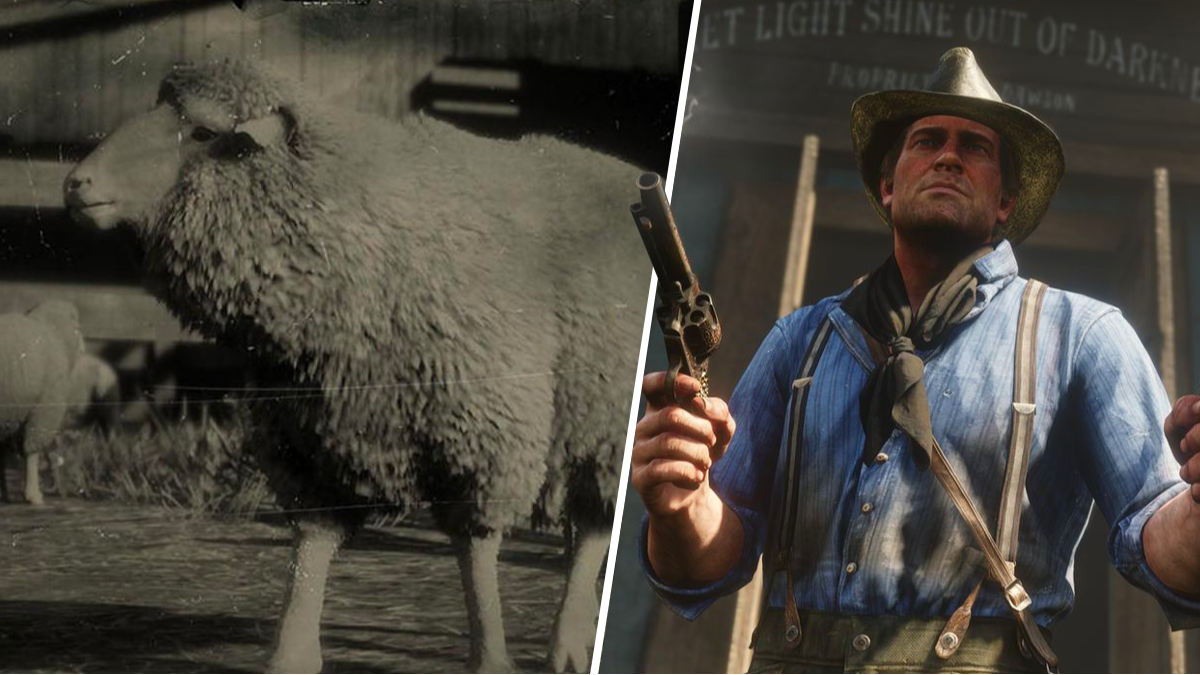 Merino Sheep Rdr2