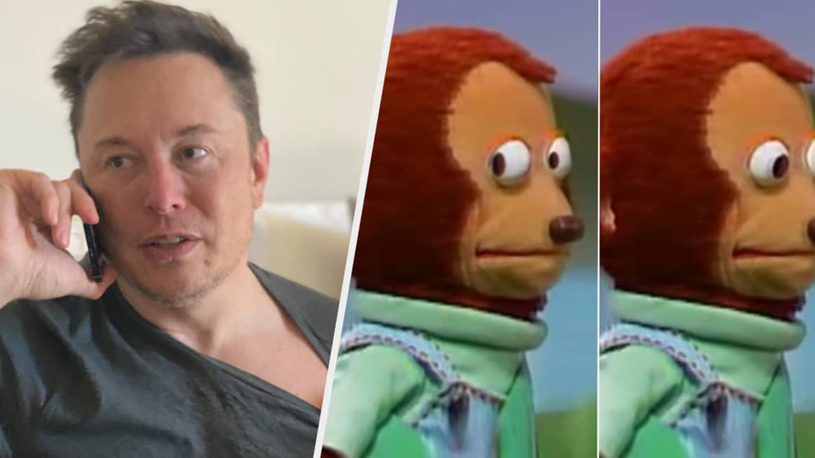 Elon Musk hosting meme review Mr Beast reviewing meme Jaiden animating meme  review Mr Beast reviewing a meme review where Elon Musk, Obama and Zucc  each host th…