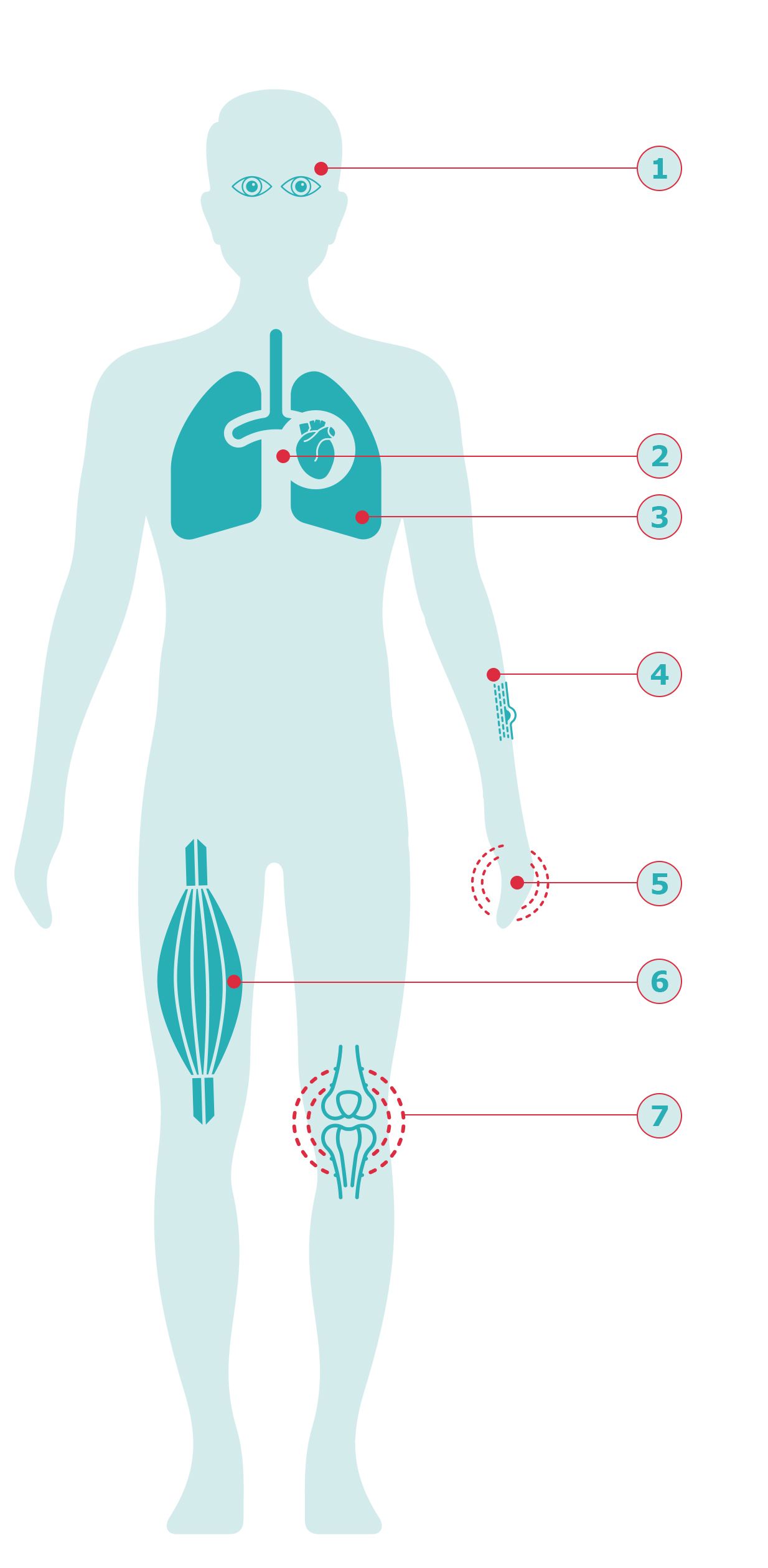 Diagram of the human body and a number of organs