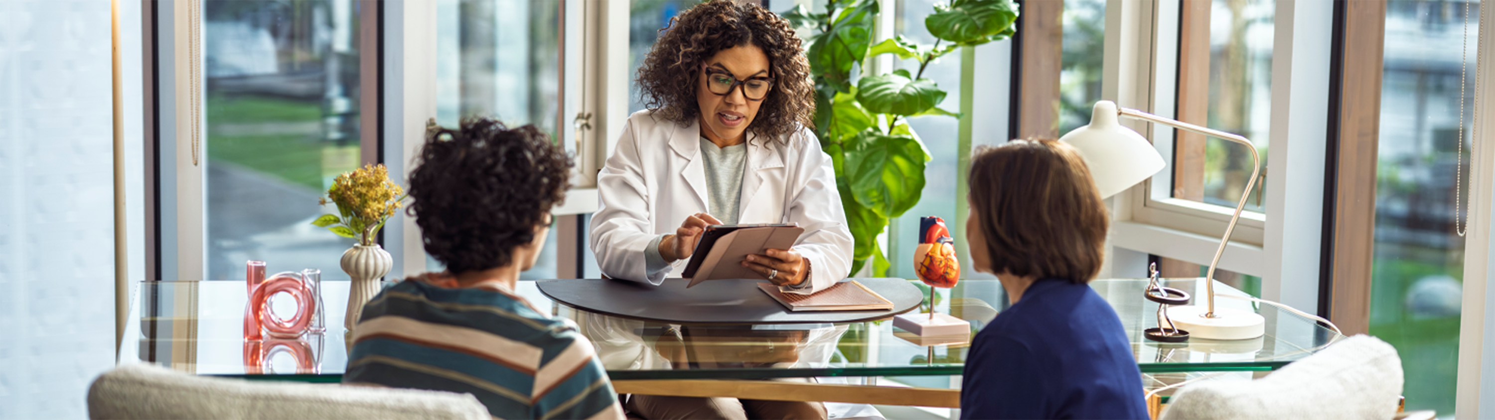 Understanding Inflammatory Bowel Disease (IBD): Causes, Symptoms and Treatment