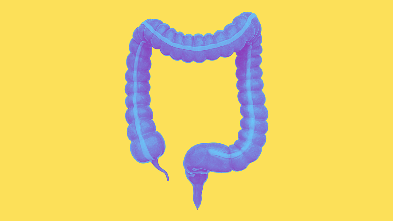 Why are endoscopies so important?