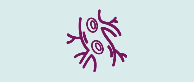 Line drawing of artery with blood cells inside