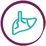 Icon showing a liver