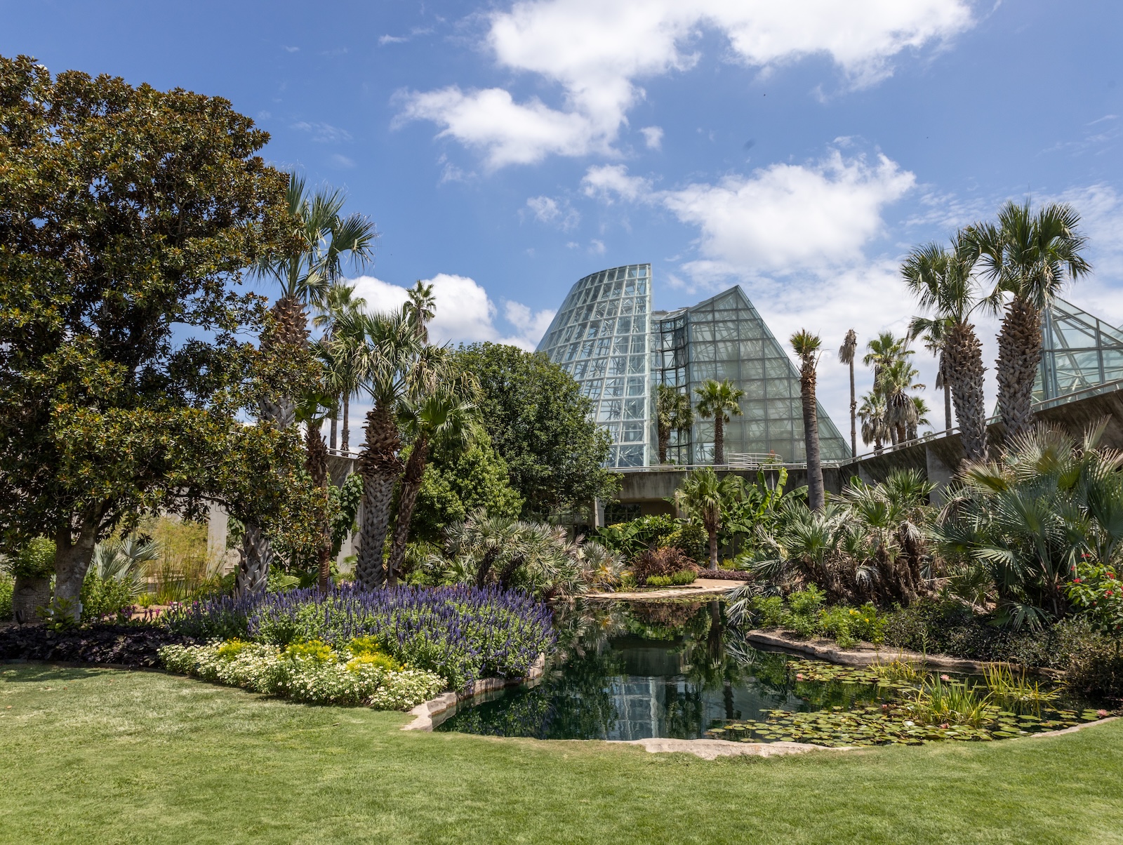 A panoramic view of the botanical gardens at the San Antonio Botanical ...