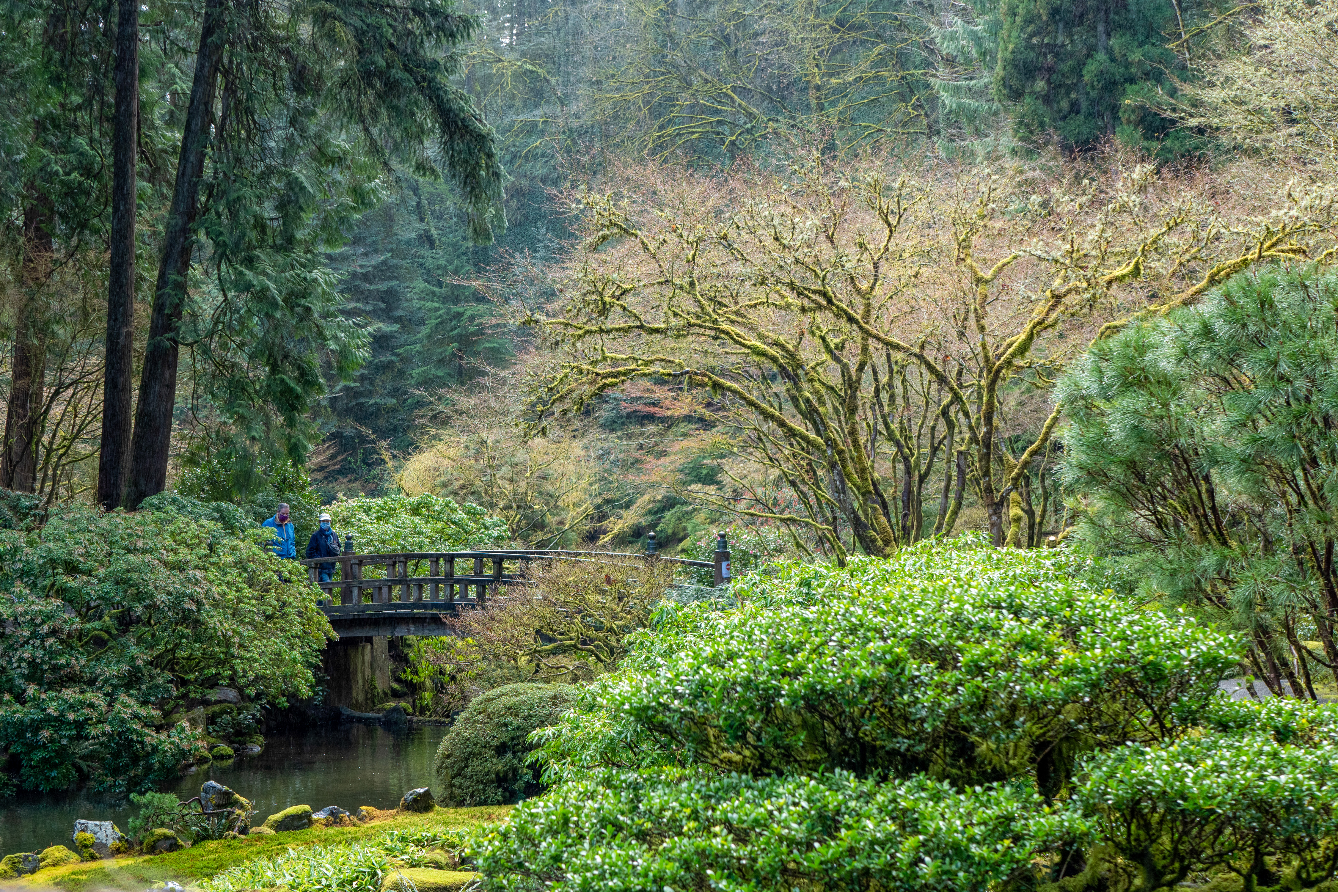 Exploring the Portland Japanese Garden is a must-do when visiting this city