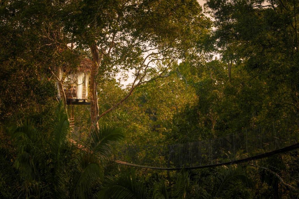 Treehouse Lodge – Iquitos, Peru