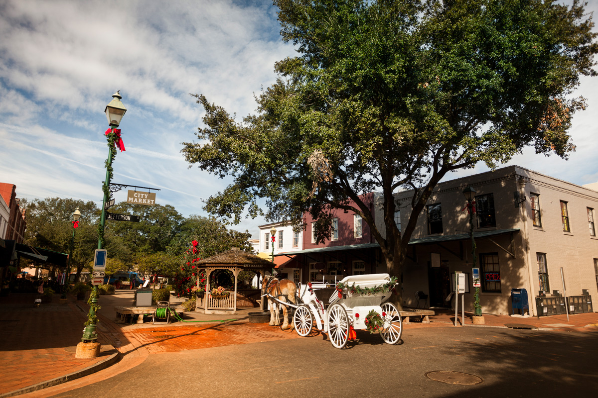 A horse-drawn carriage parked on a charming street in Savannah, Georgia, surrounded by historic buildings and lush greenery.