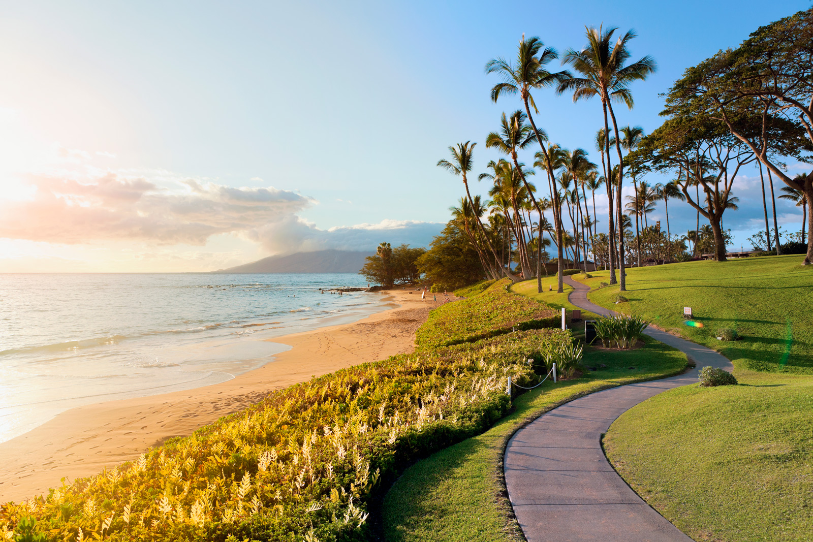 A scenic pathway lined with palm trees leads to a beautiful beach in Maui, inviting relaxation and tranquility.