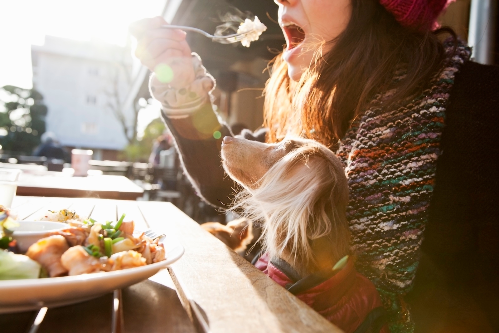 A woman enjoying a meal with her dog at an outdoor café in New York City.