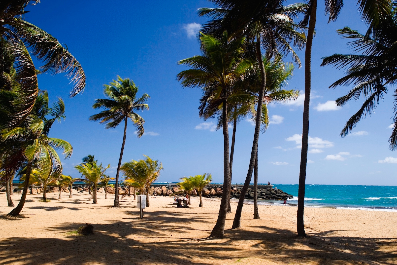  A sandy beach in Condado, lined with palm trees swaying gently in the breeze under a blue sky
