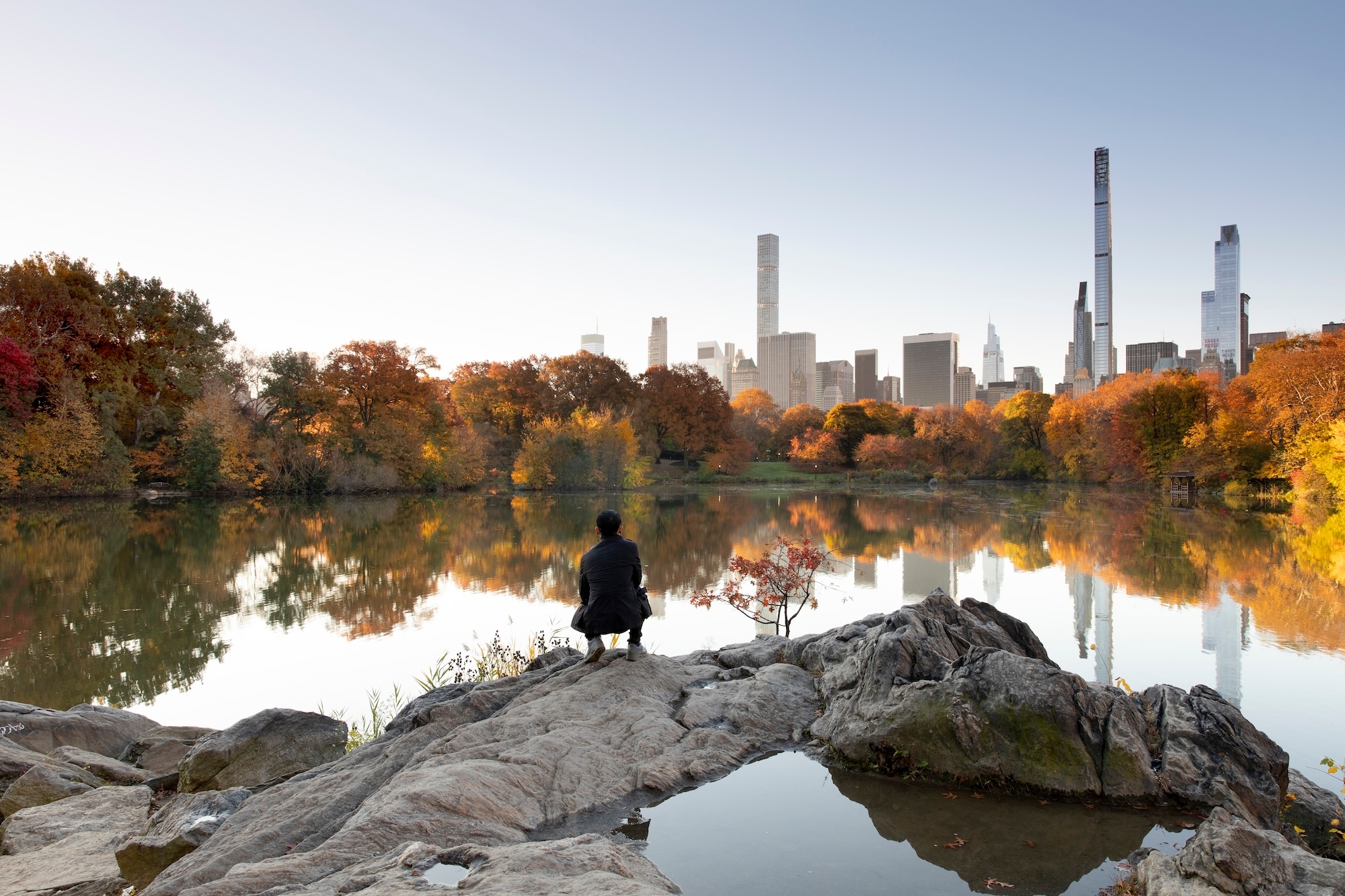 A man crouched overlooking NYC's autumnal landscape