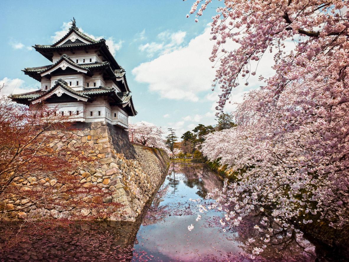 Die beste Zeit für einen Besuch der Burg Hirosaki in Aomori ist der Frühling, wenn sie von rosa Blütenblättern umgeben ist.