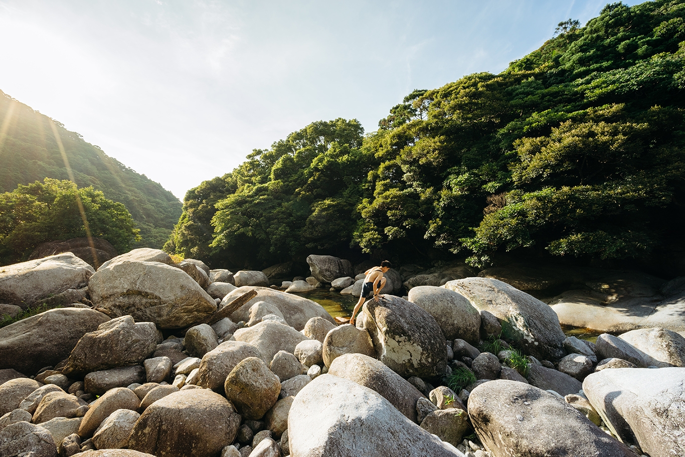 A person stands on a rock in a river, surrounded by the greenery of Yakushima, Japan