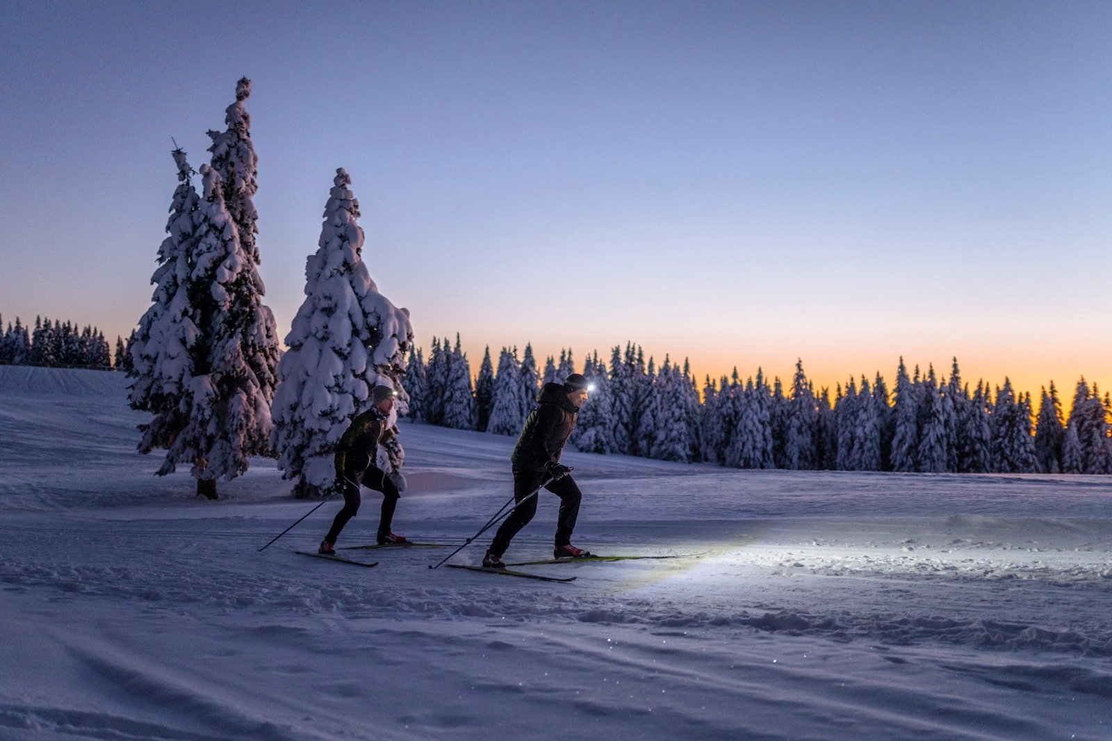Two individuals skiing under the night sky, gliding across a snow-covered landscape with trees in the background