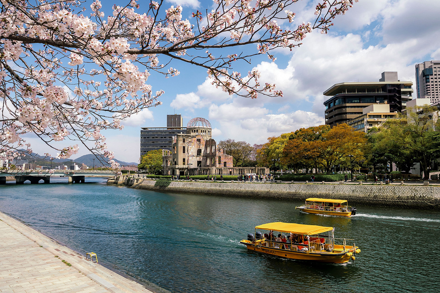Las flores del cerezo, en Kobe, junto al Domo de la Bomba Atómica de Hiroshima crean una estampa sencilla pero evocadora