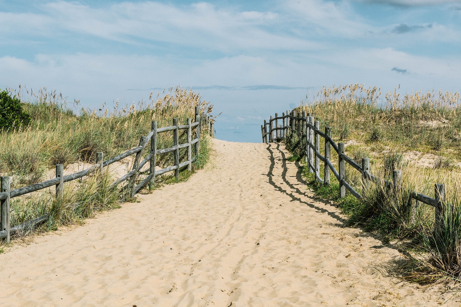 A sandy pathway through grass and dunes leading to the beach at Sandbridge.