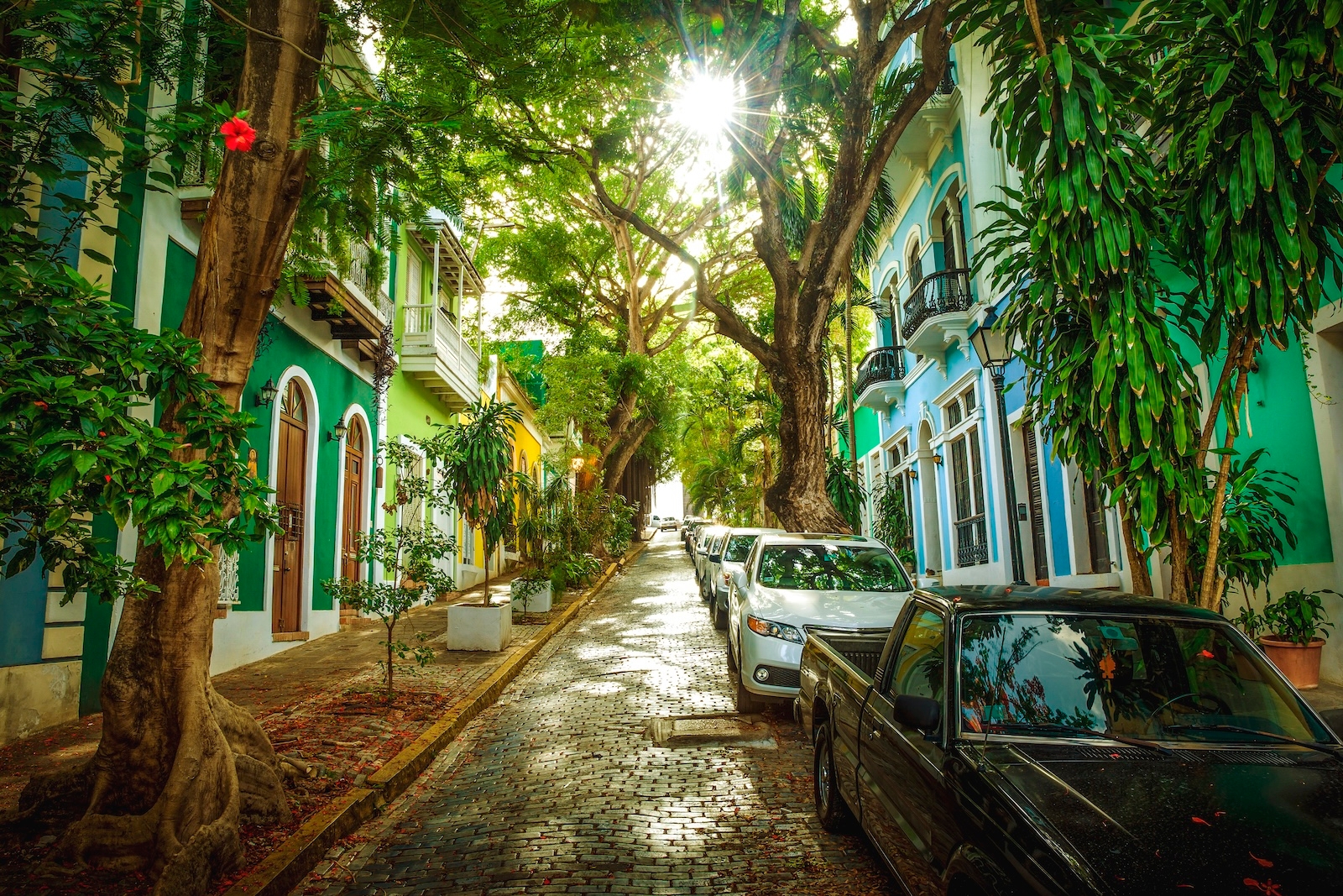 A vibrant street in Old San Juan, lined with colourful buildings and trees, showcasing the area's charm and beauty