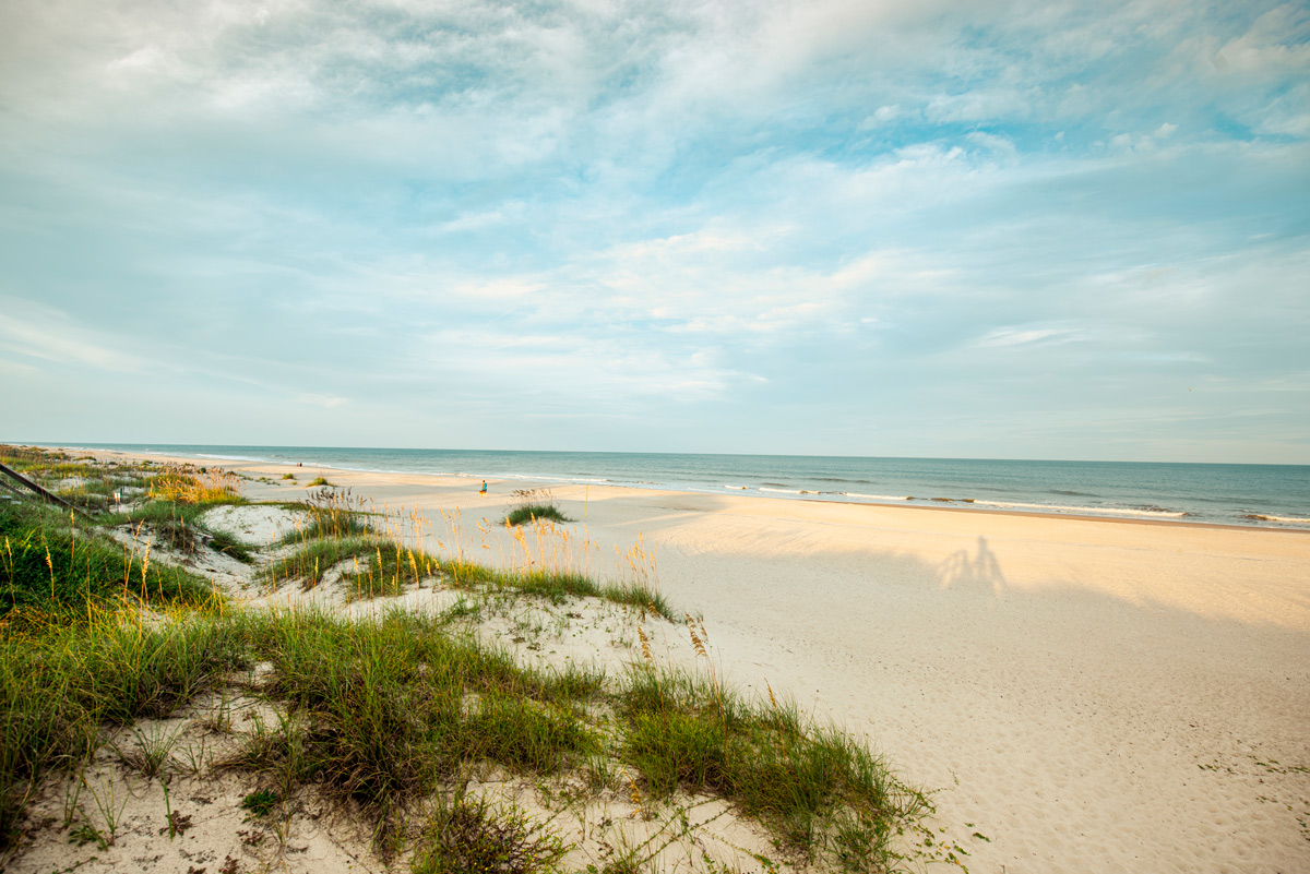 Beautiful Amelia Island beach with a gentle sand dune and vibrant grass swaying in the breeze.