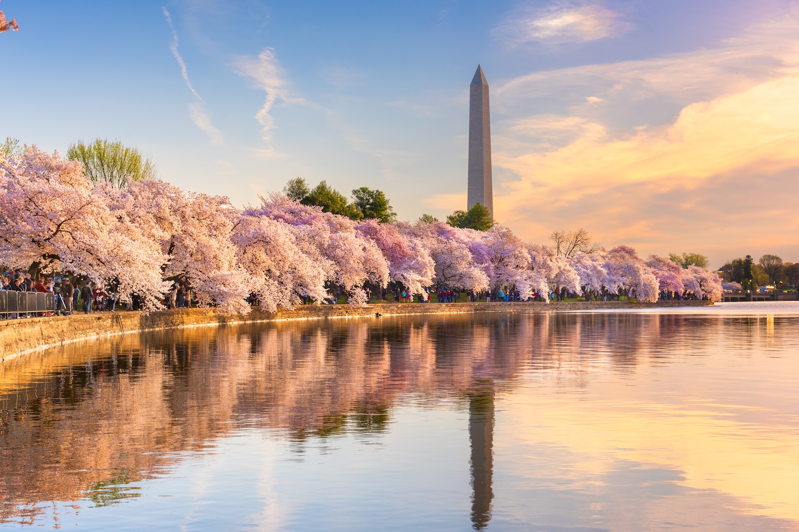 Washington Monument stands tall, reflecting in water below