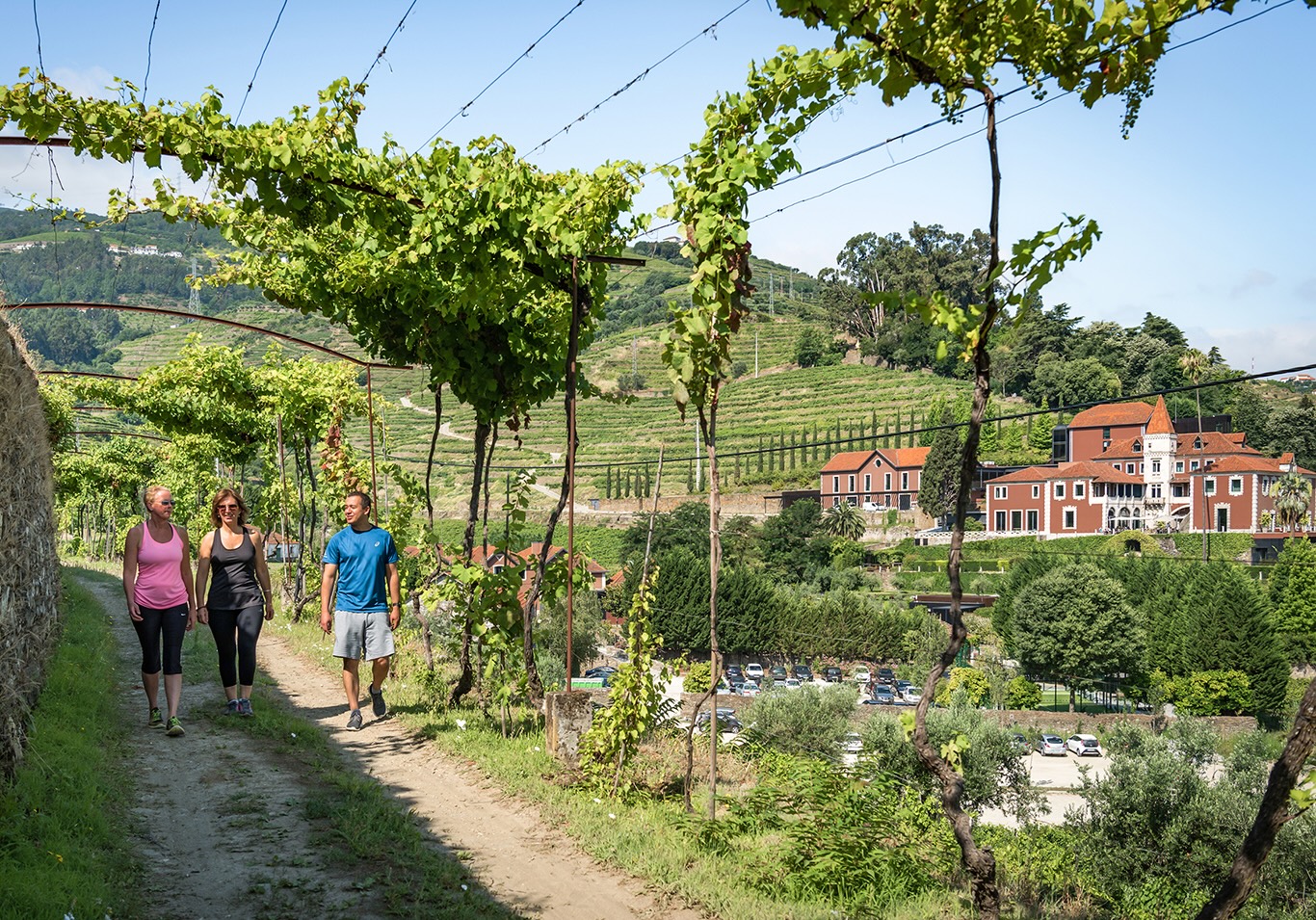 A group of people strolls along a dirt path in the scenic Six Senses Douro Valley, Portugal, surrounded by green landscapes