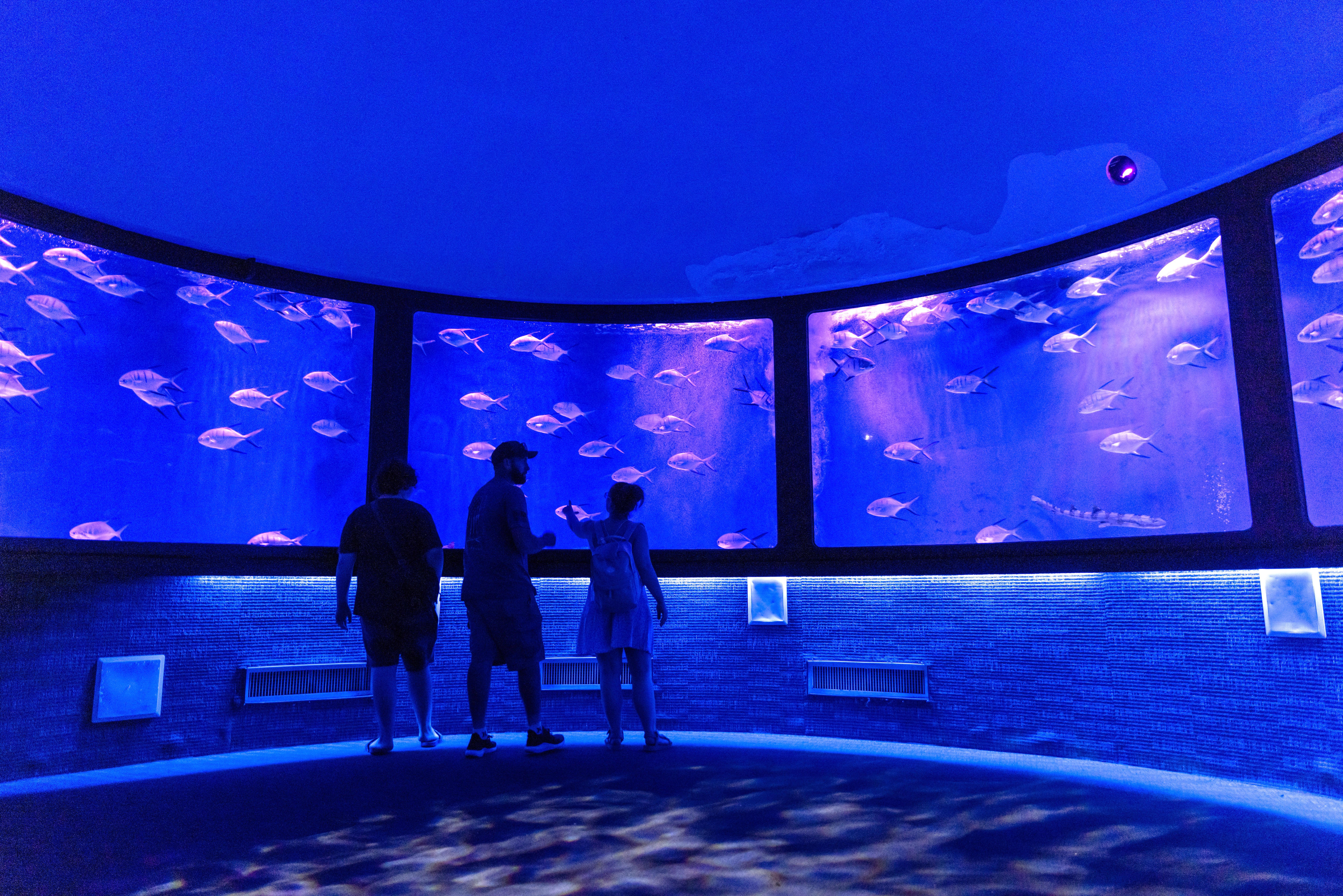 2. SEA LIFE Orlando Aquarium