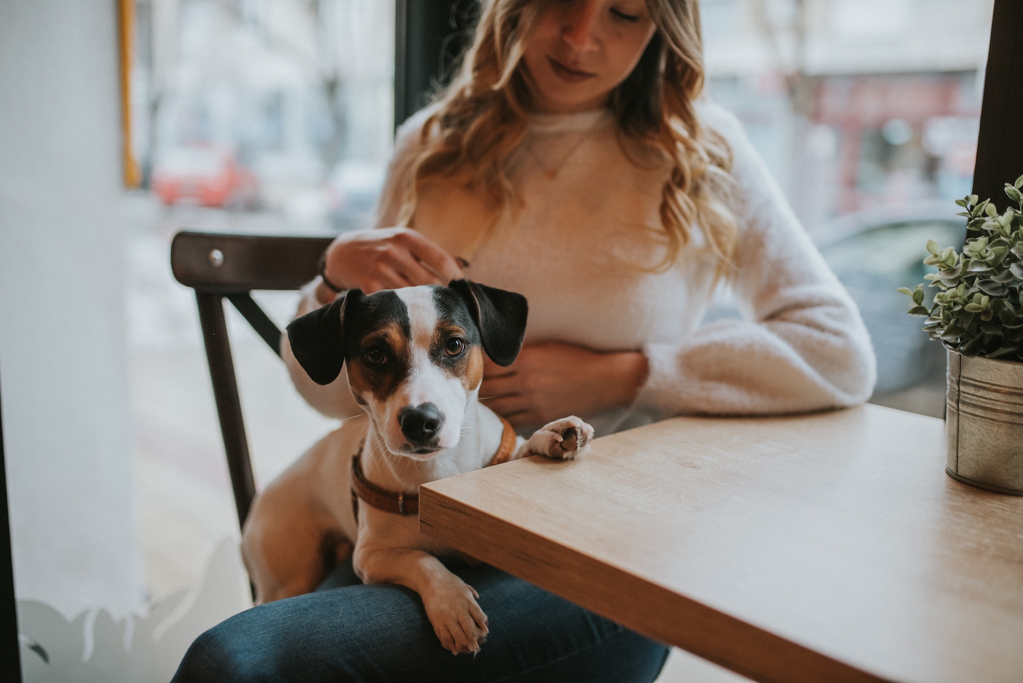 A woman sits at a table in NYC, enjoying time with her dog