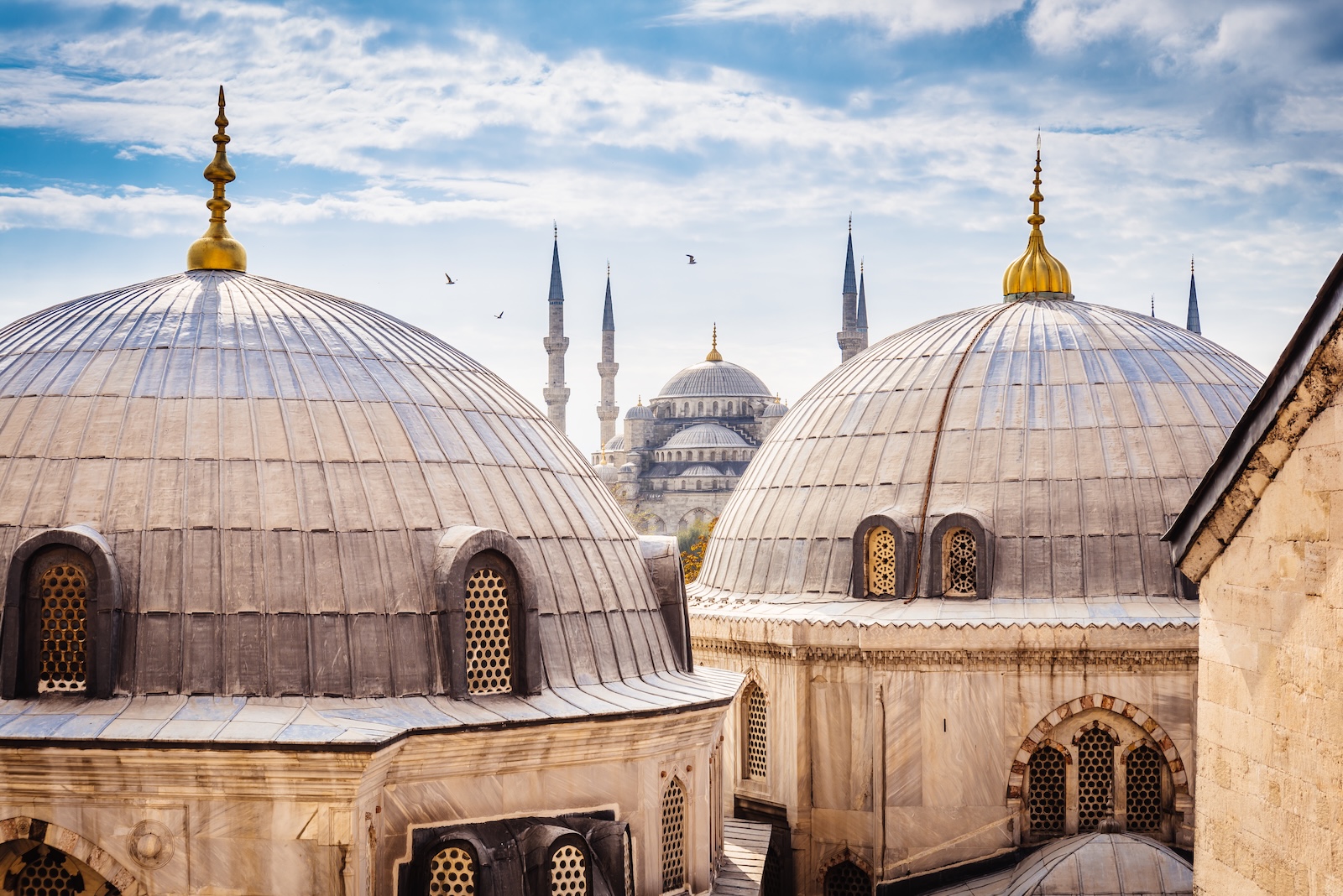 The Blue Mosque, also known as Sultanahmet Mosque, showcasing its iconic blue tiles and grand architecture in Istanbul, Turkey.