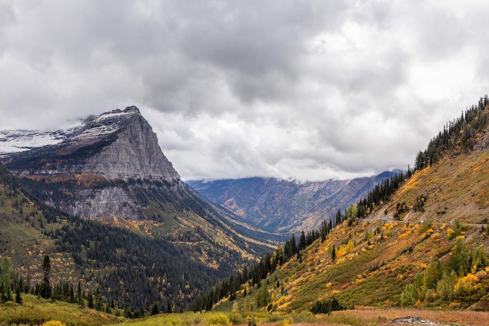 Scenic view of Glacier National Park's mountain valley, featuring trees and towering mountains in the background.