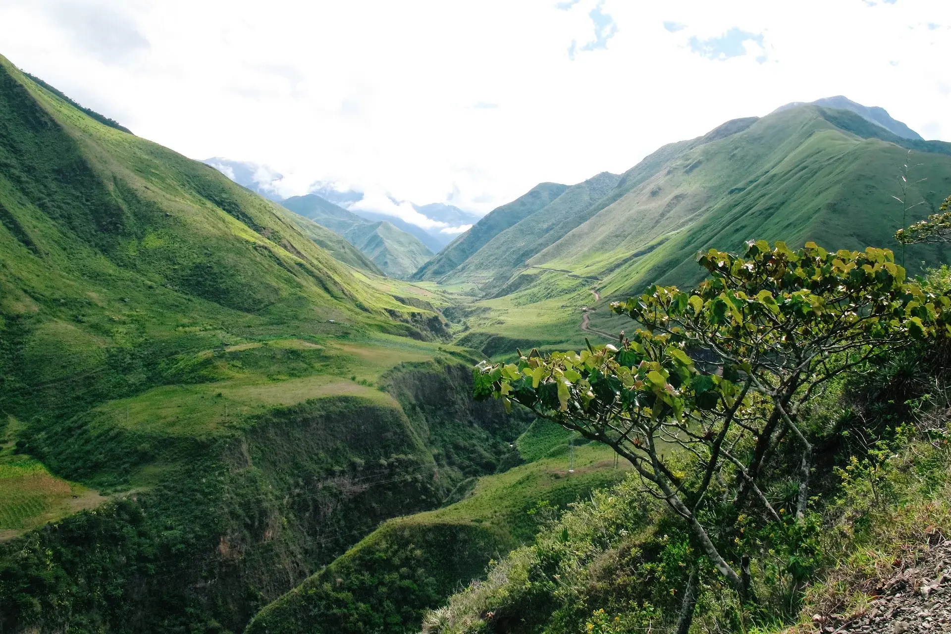 Ecuador