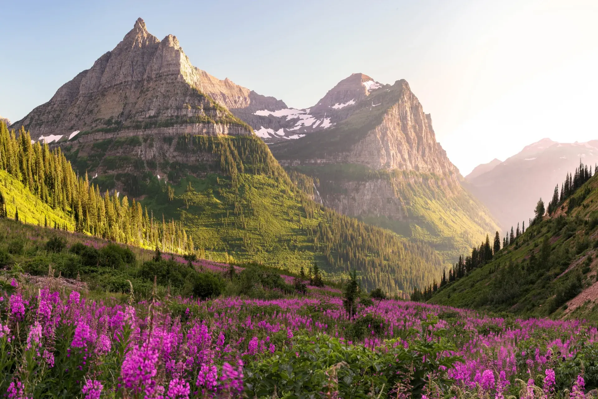 montana-employment-guide.webp