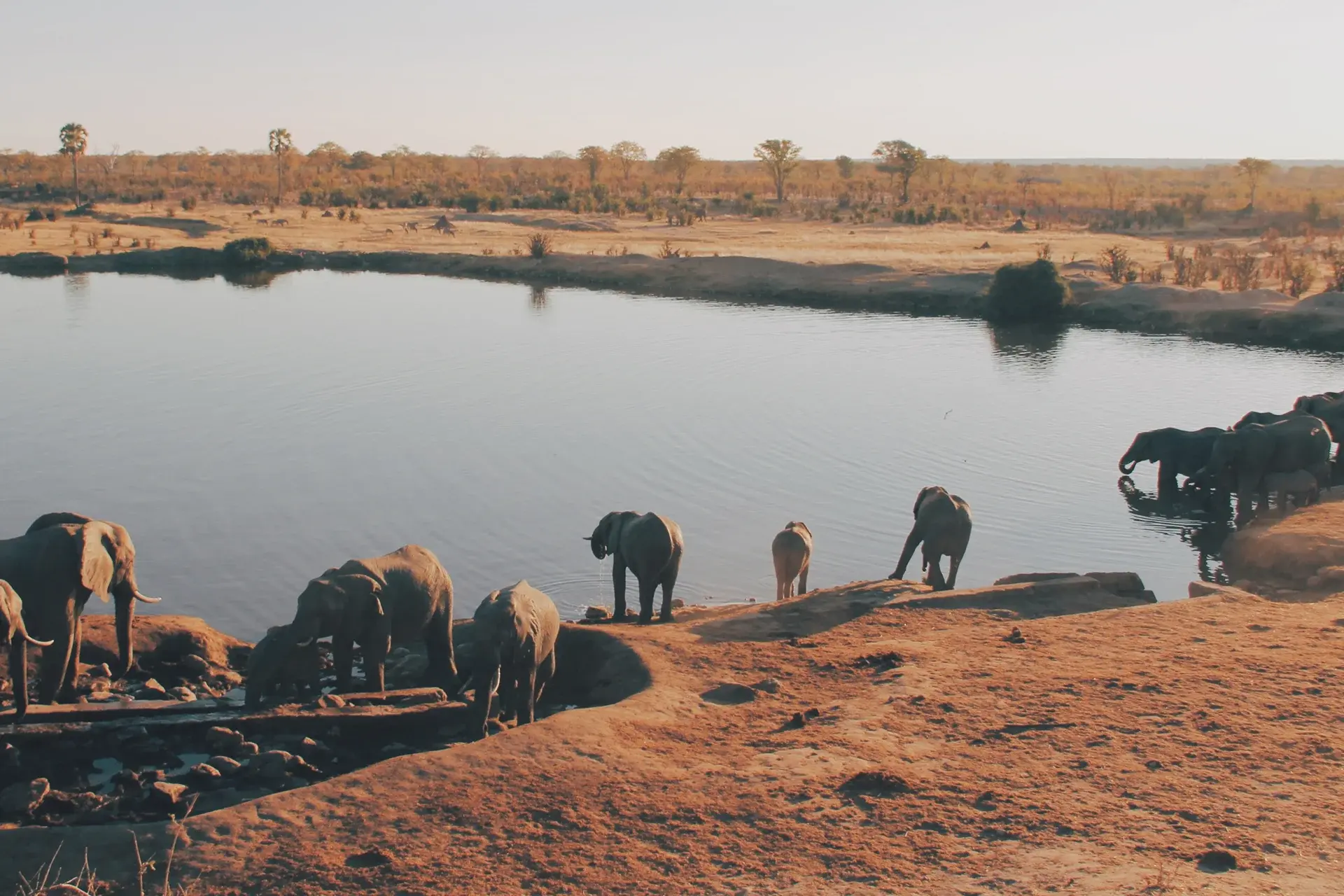 Zimbabwe