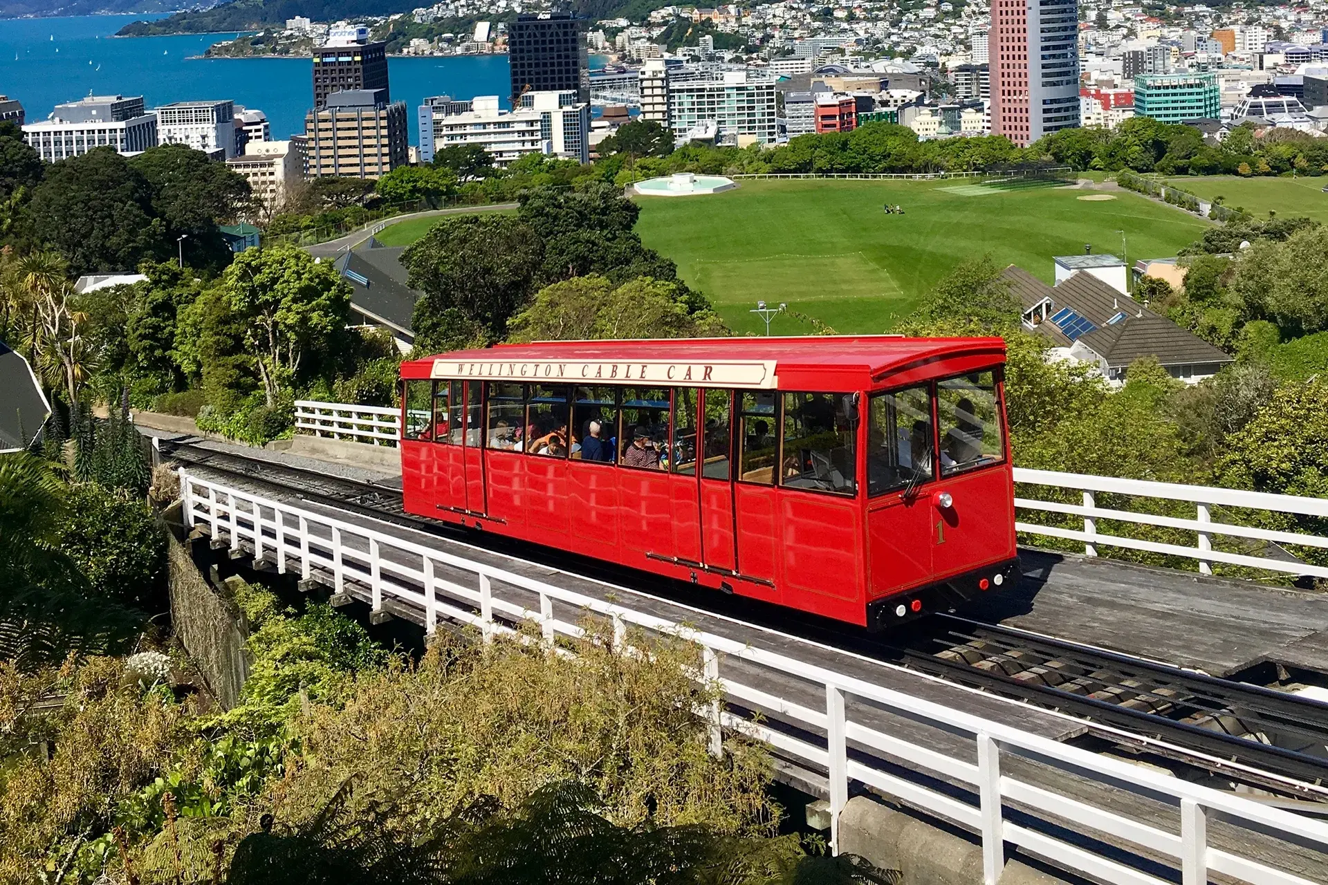 new-zealand-employment-guide.webp