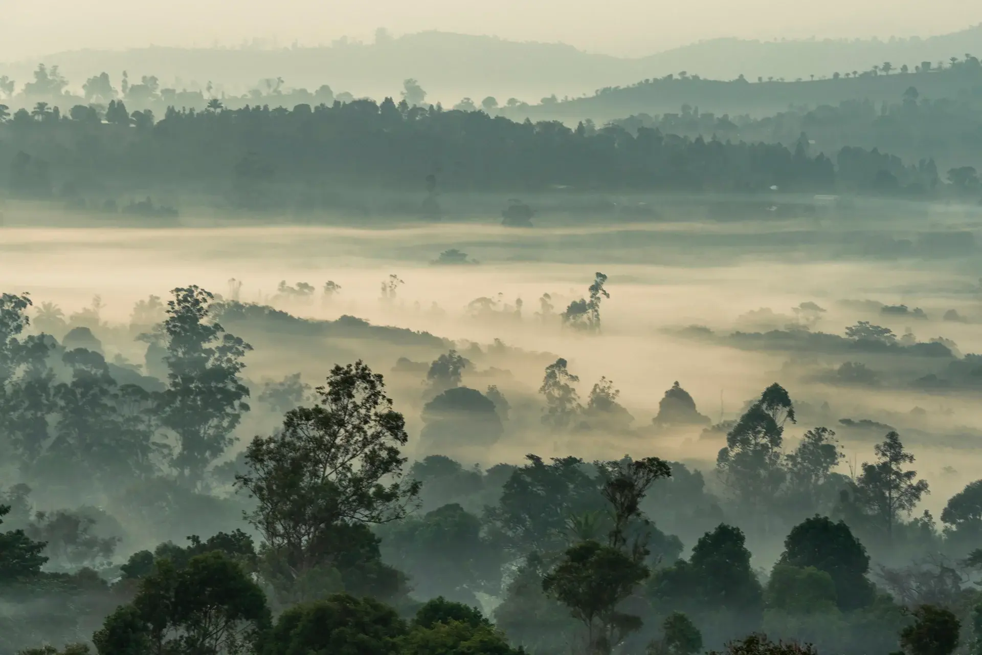Cameroon