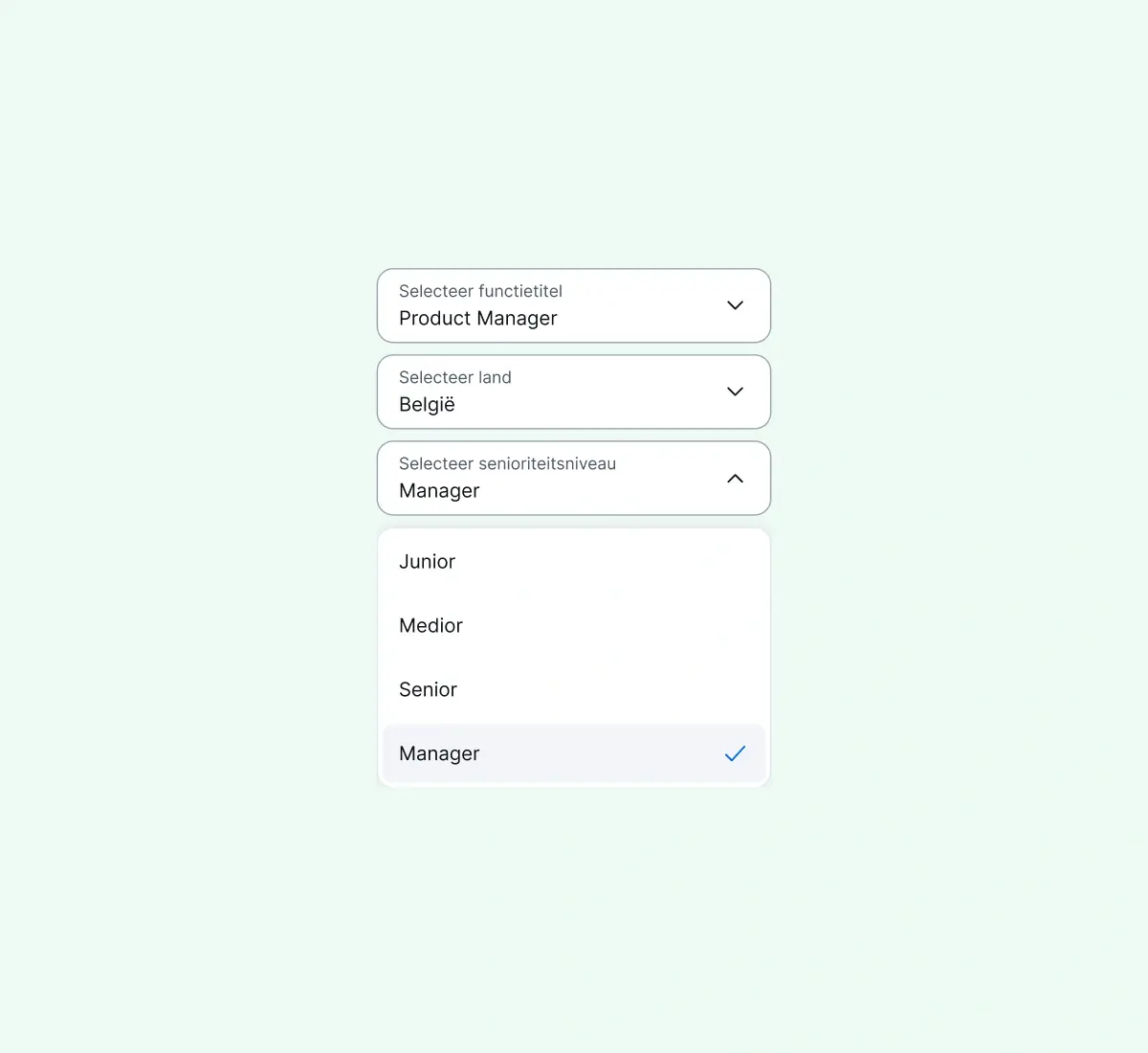 get-precise-insights_dutch@2x.webp