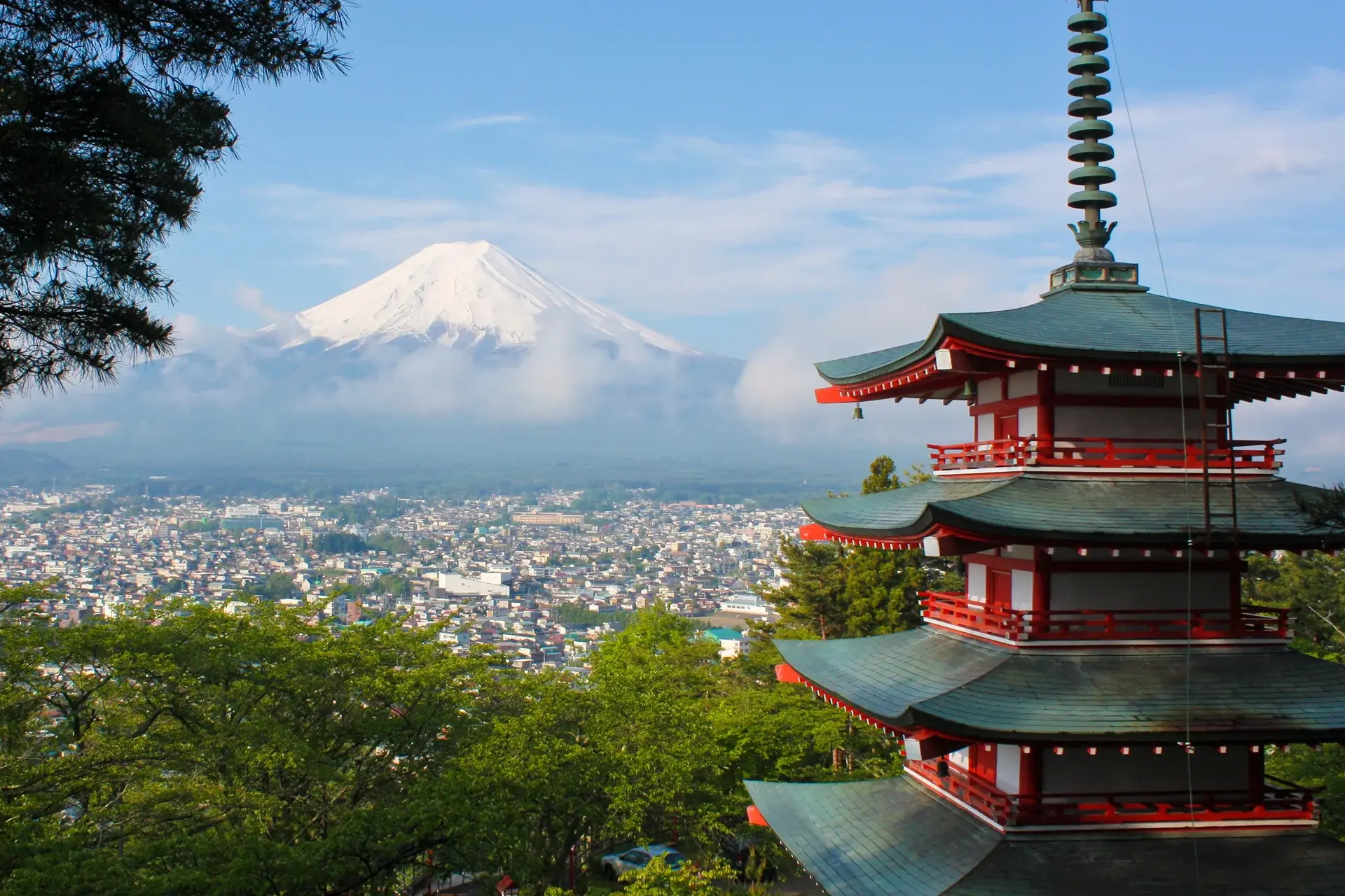 japan-employment-guide.webp