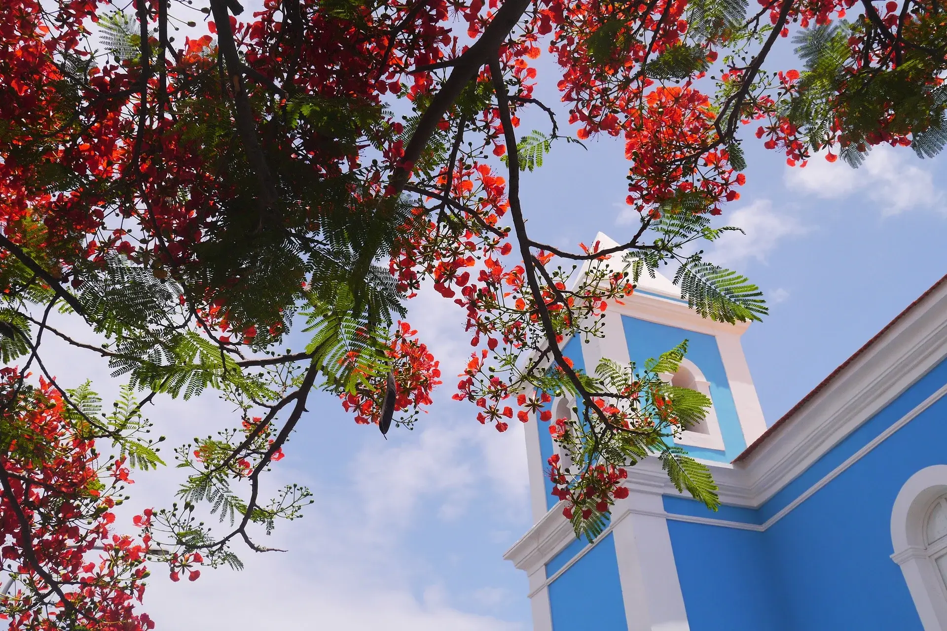 Cape Verde