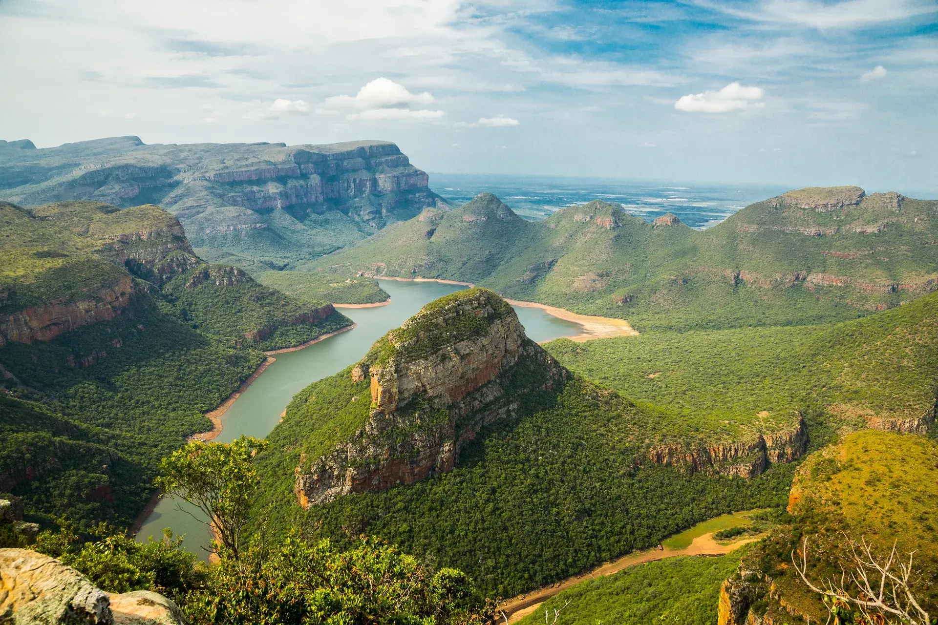 south-africa-employment-guide.webp