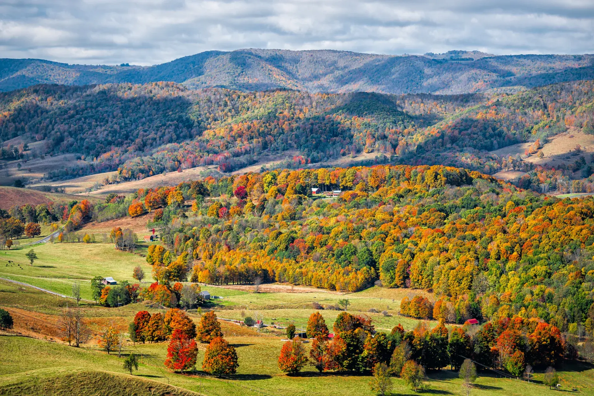 Virginia