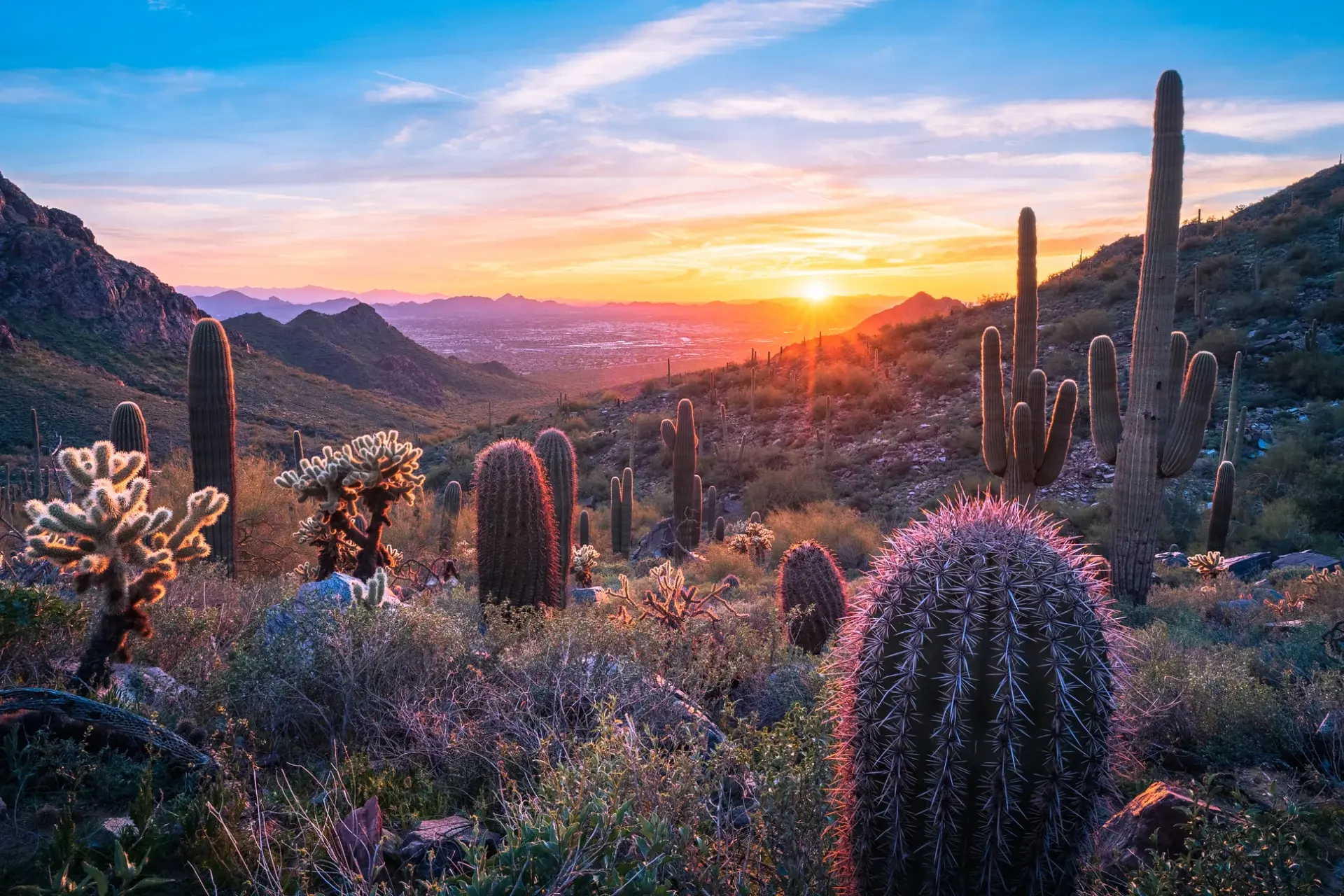 arizona-employment-guide.webp