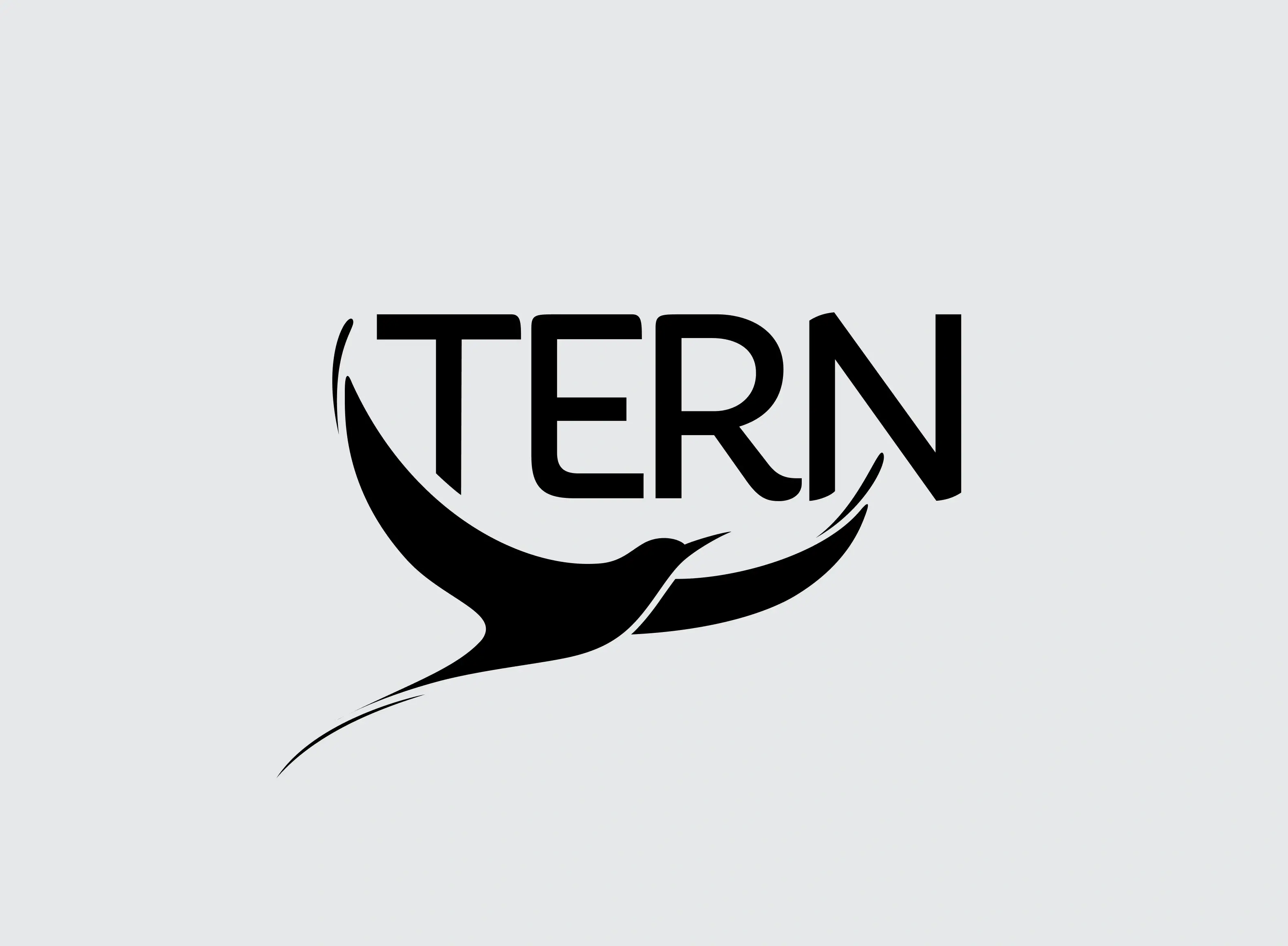 tern-card-logo@2x.webp